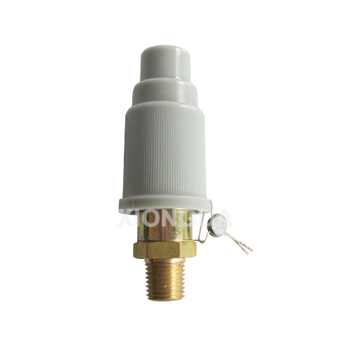 Safety Valve